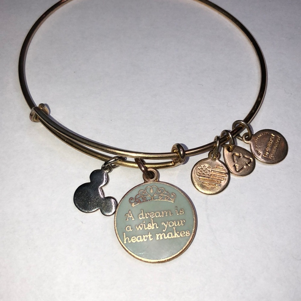 A dream is a wish your heart makes bracelet